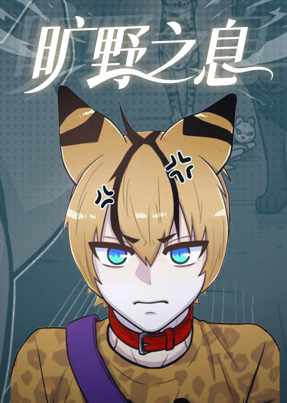 旷野之息封面