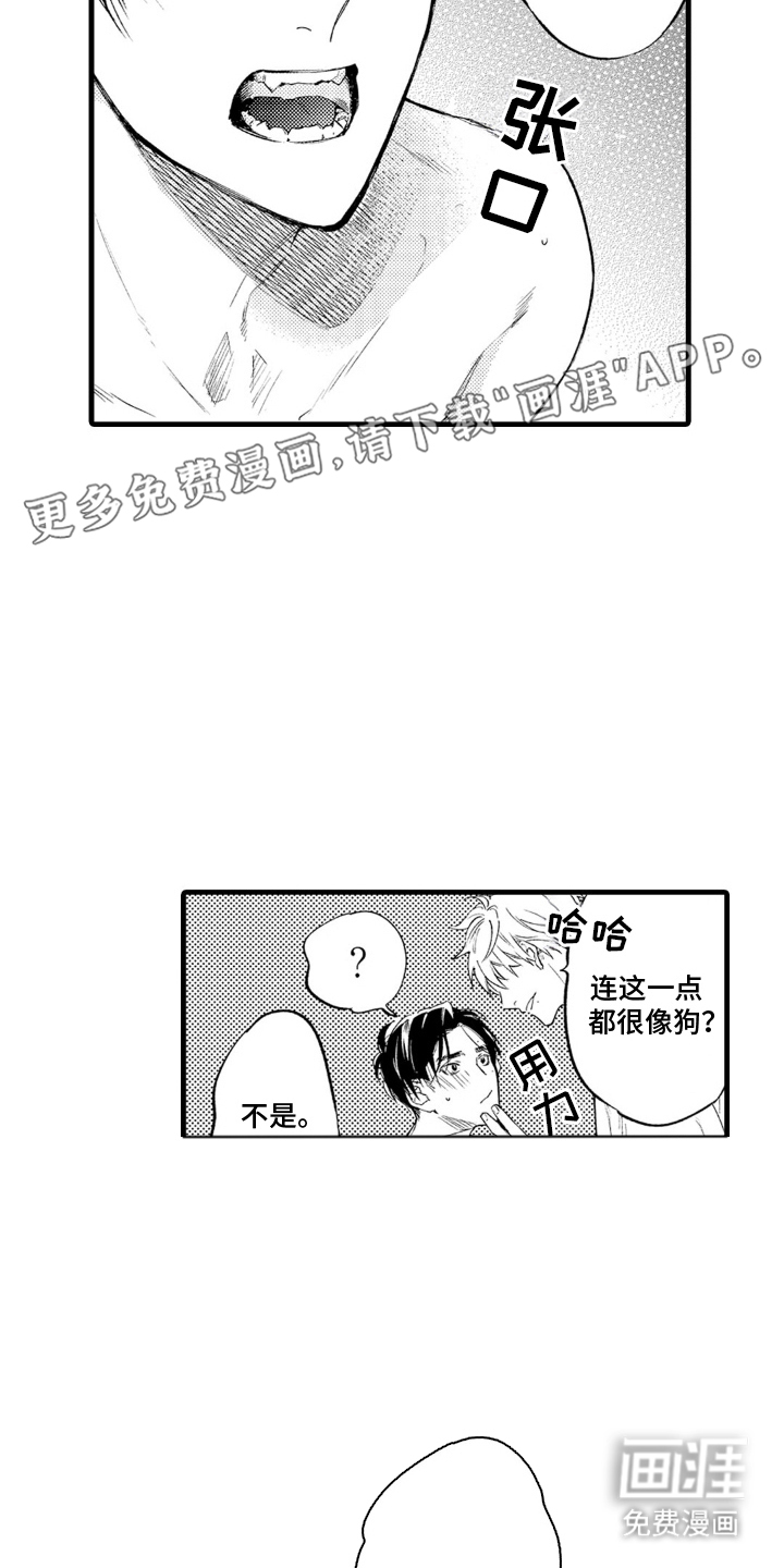 第4话：第4章：最大的问题预览分镜