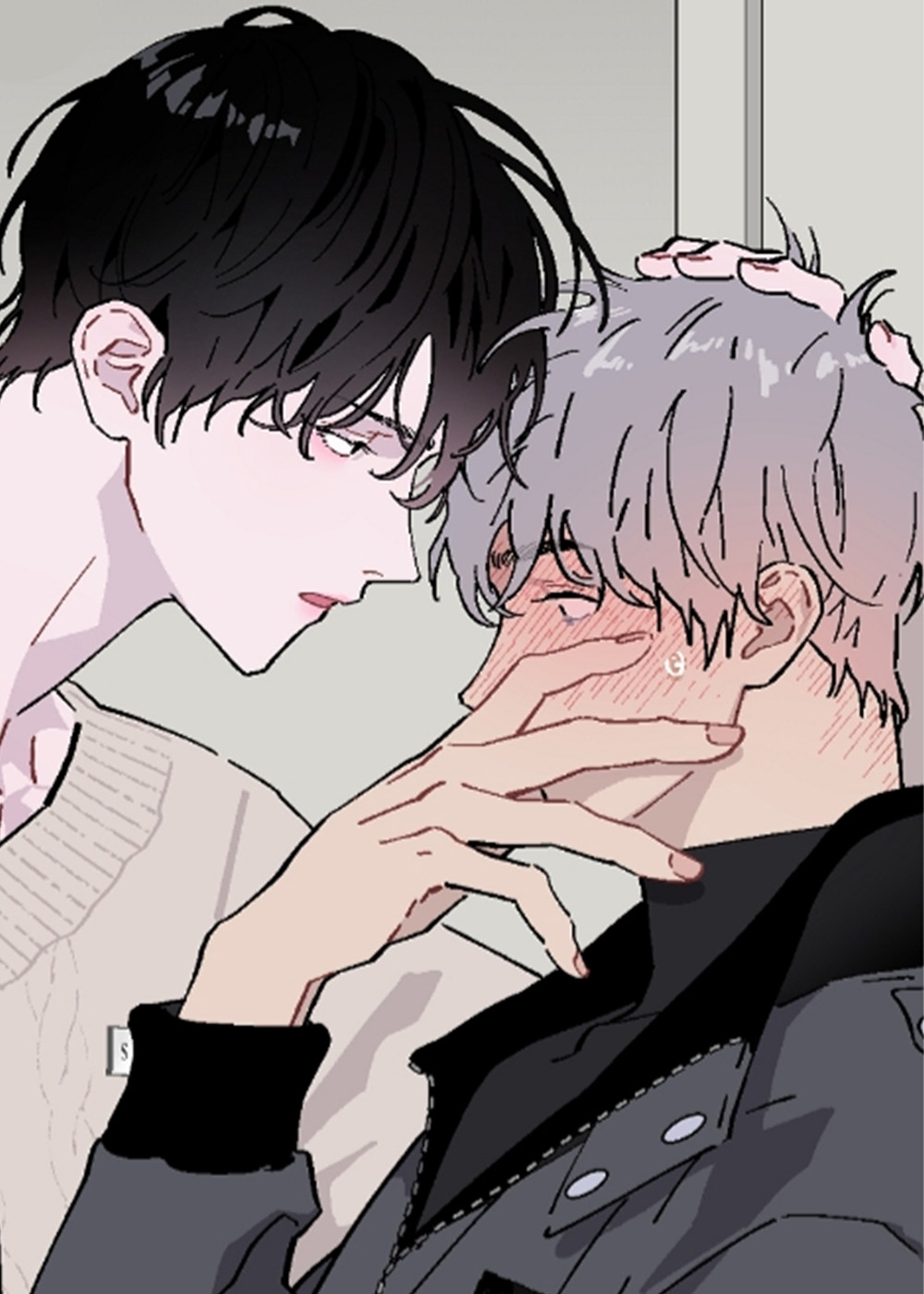被偏爱的瑕疵封面