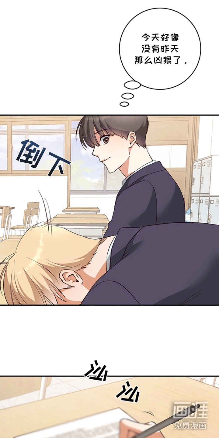 第5话：第5章：你别管预览分镜