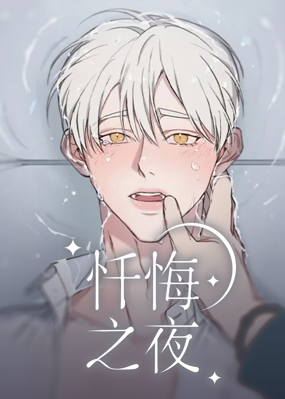 忏悔之夜封面