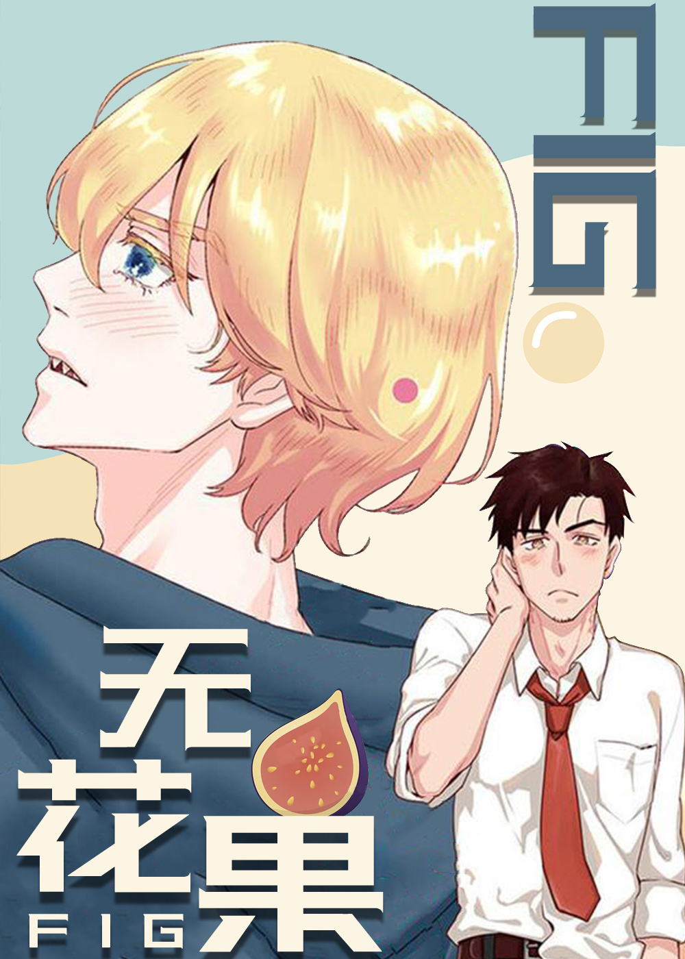 无花果封面