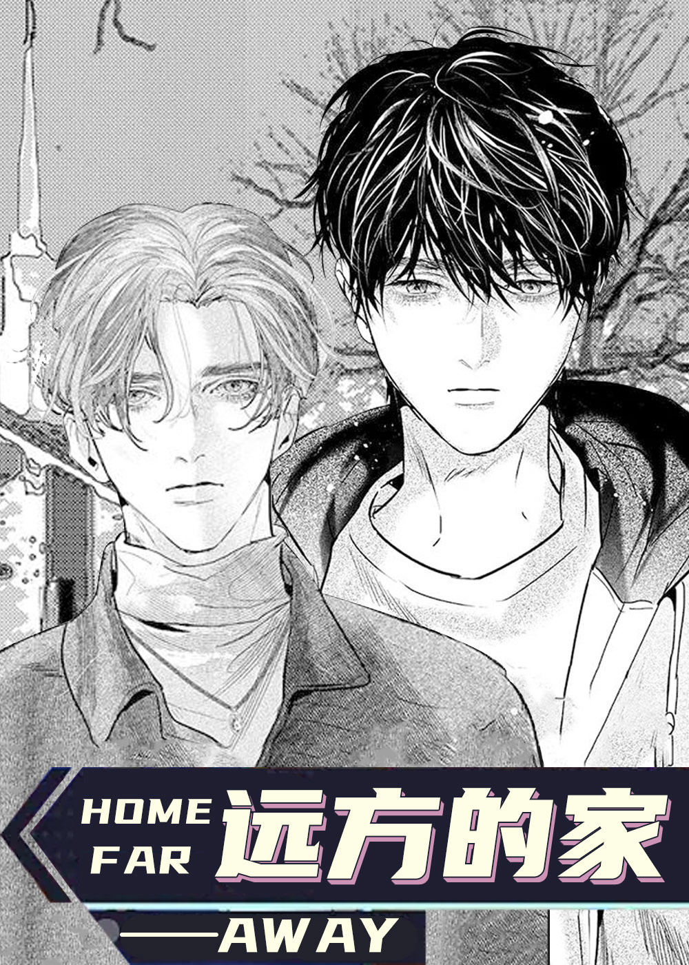 远方的家封面