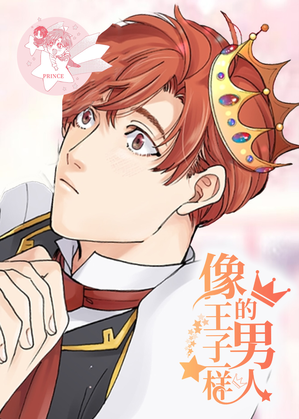 像王子一样的男人封面