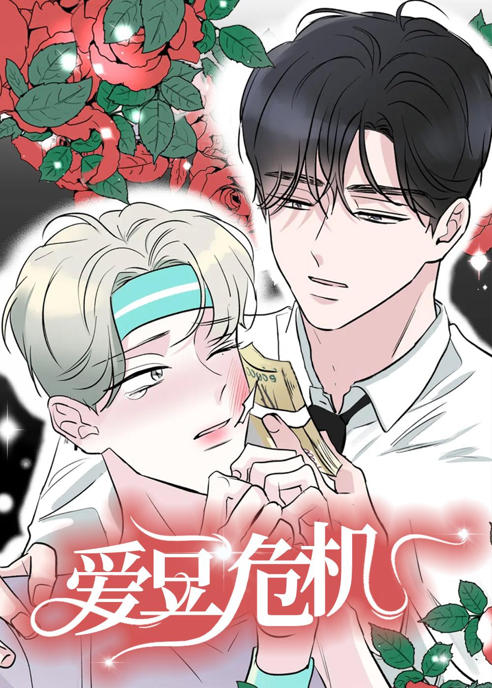 爱豆危机封面