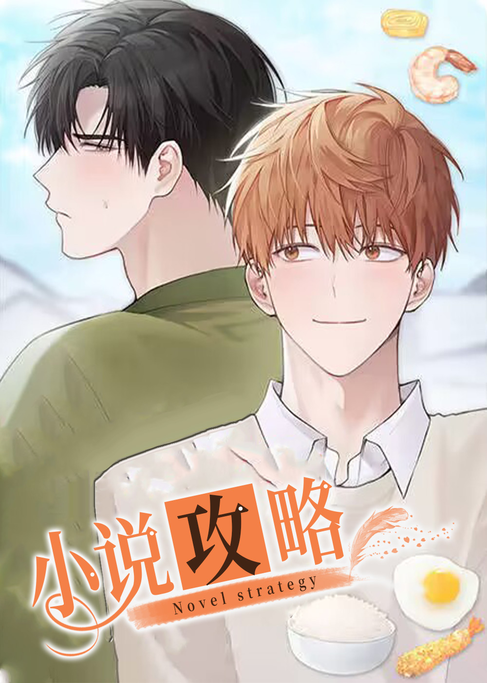 小说攻略封面