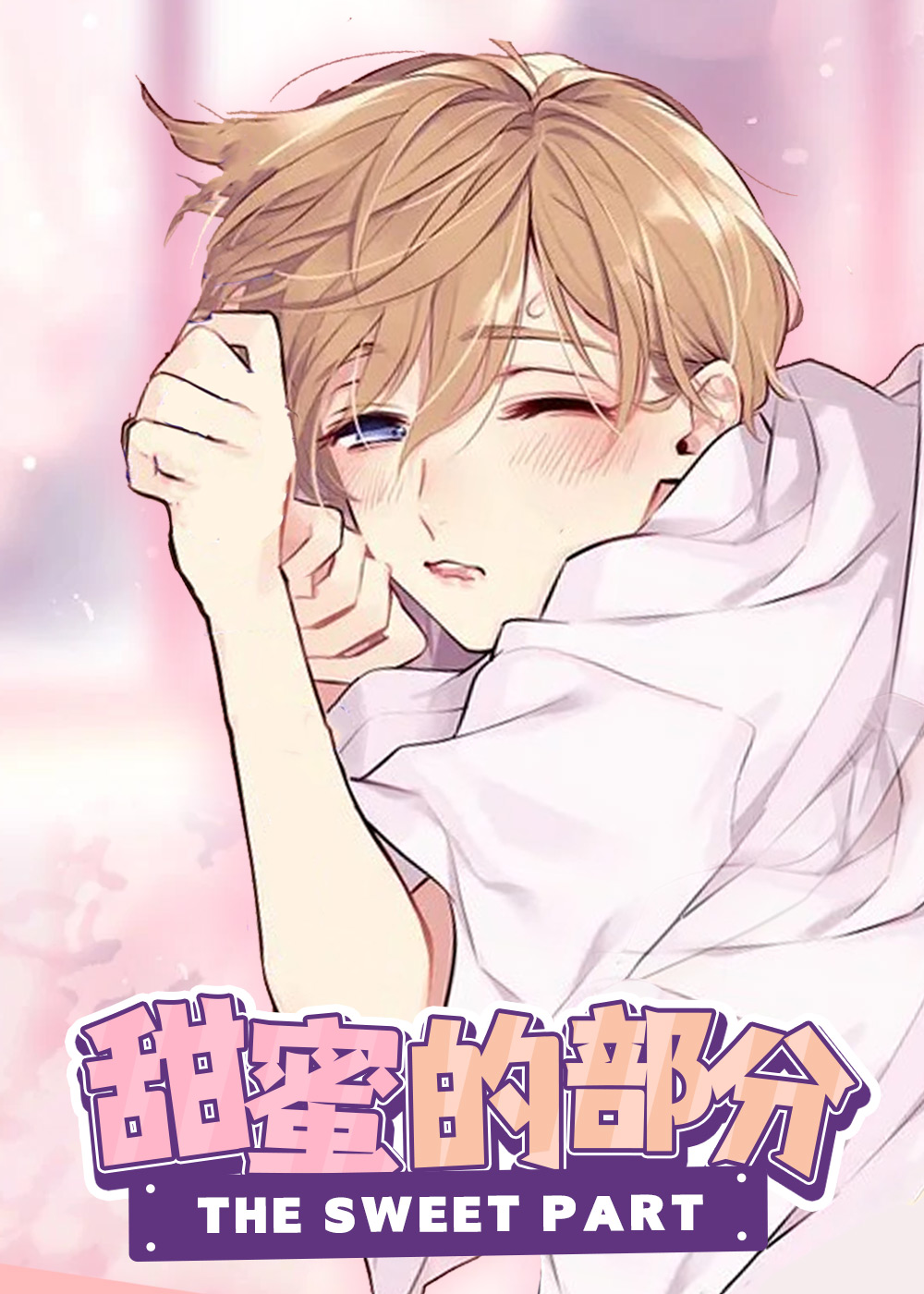 甜蜜的部分封面