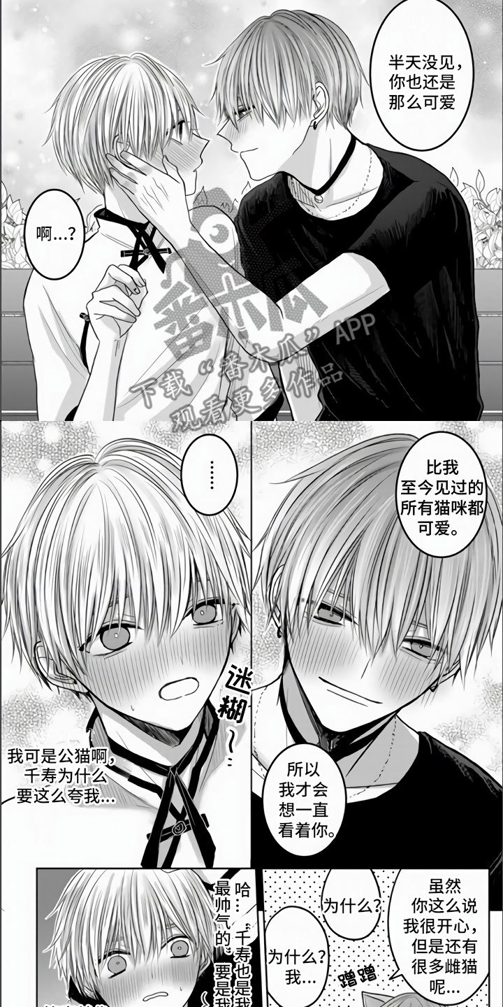 第8话：第8章：被抓住了预览分镜