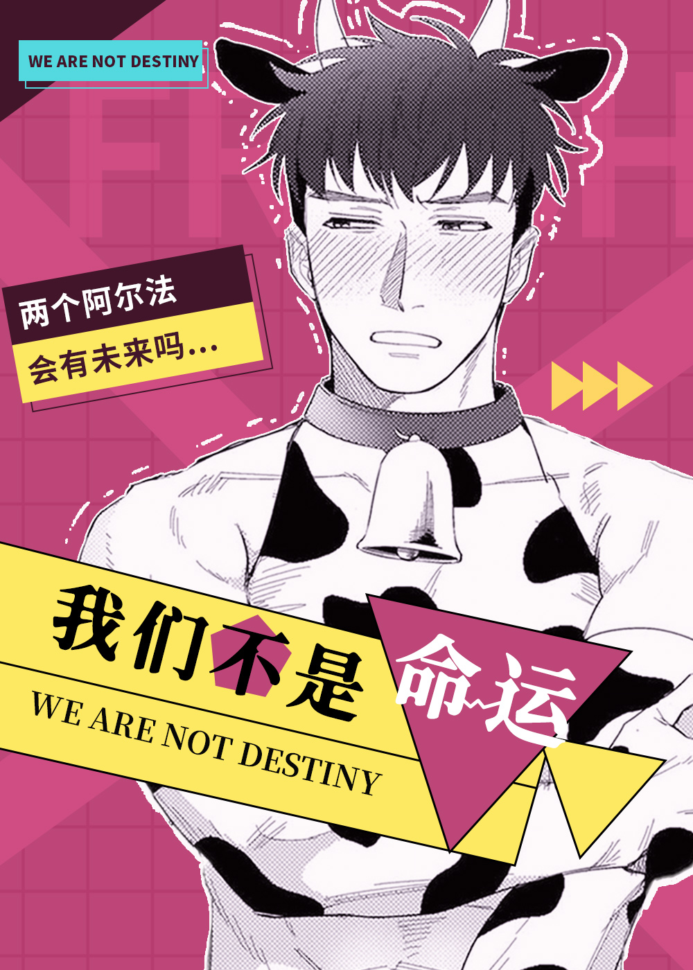 我们不是命运封面