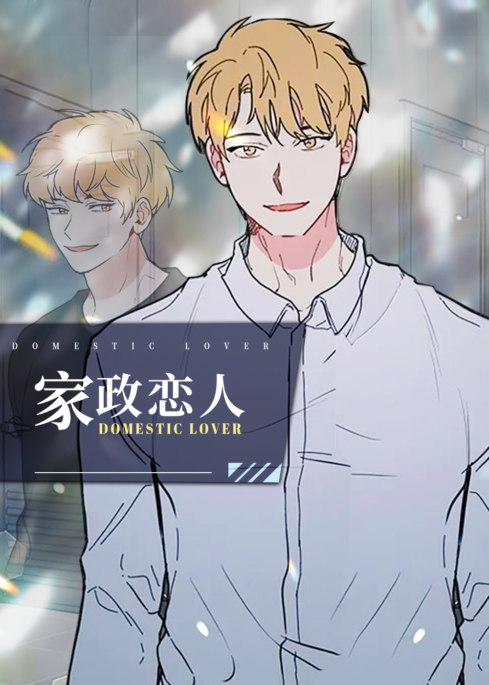 家政恋人封面
