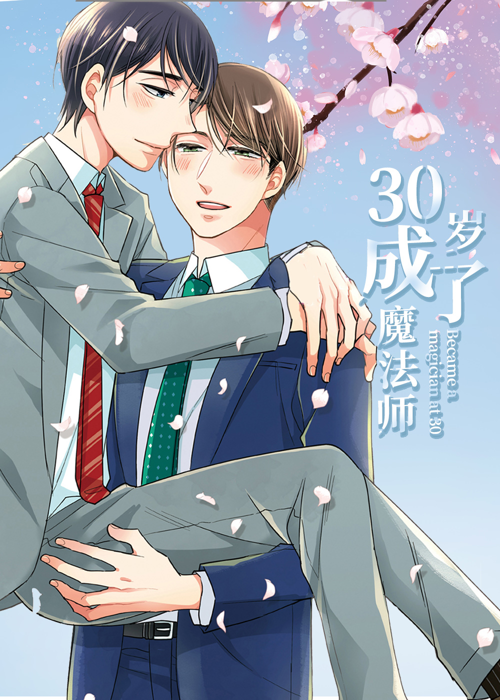 30岁成了魔法师封面