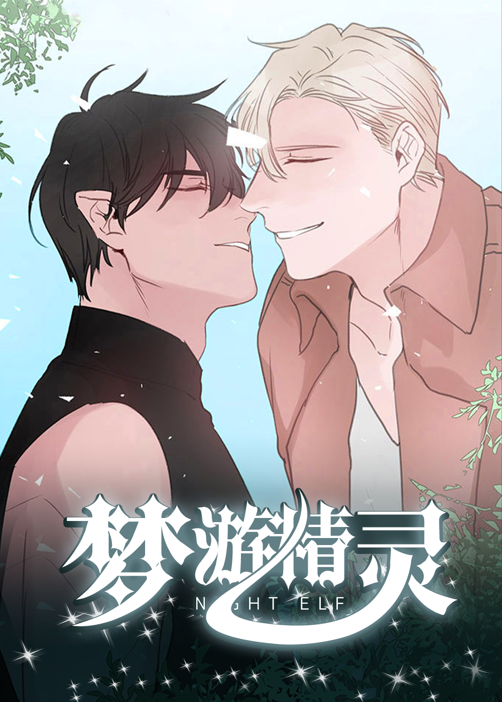 梦游精灵封面