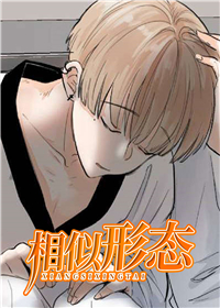 相似形态封面