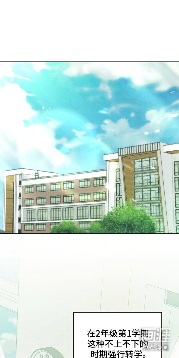 第4话：第4章：正常人预览分镜