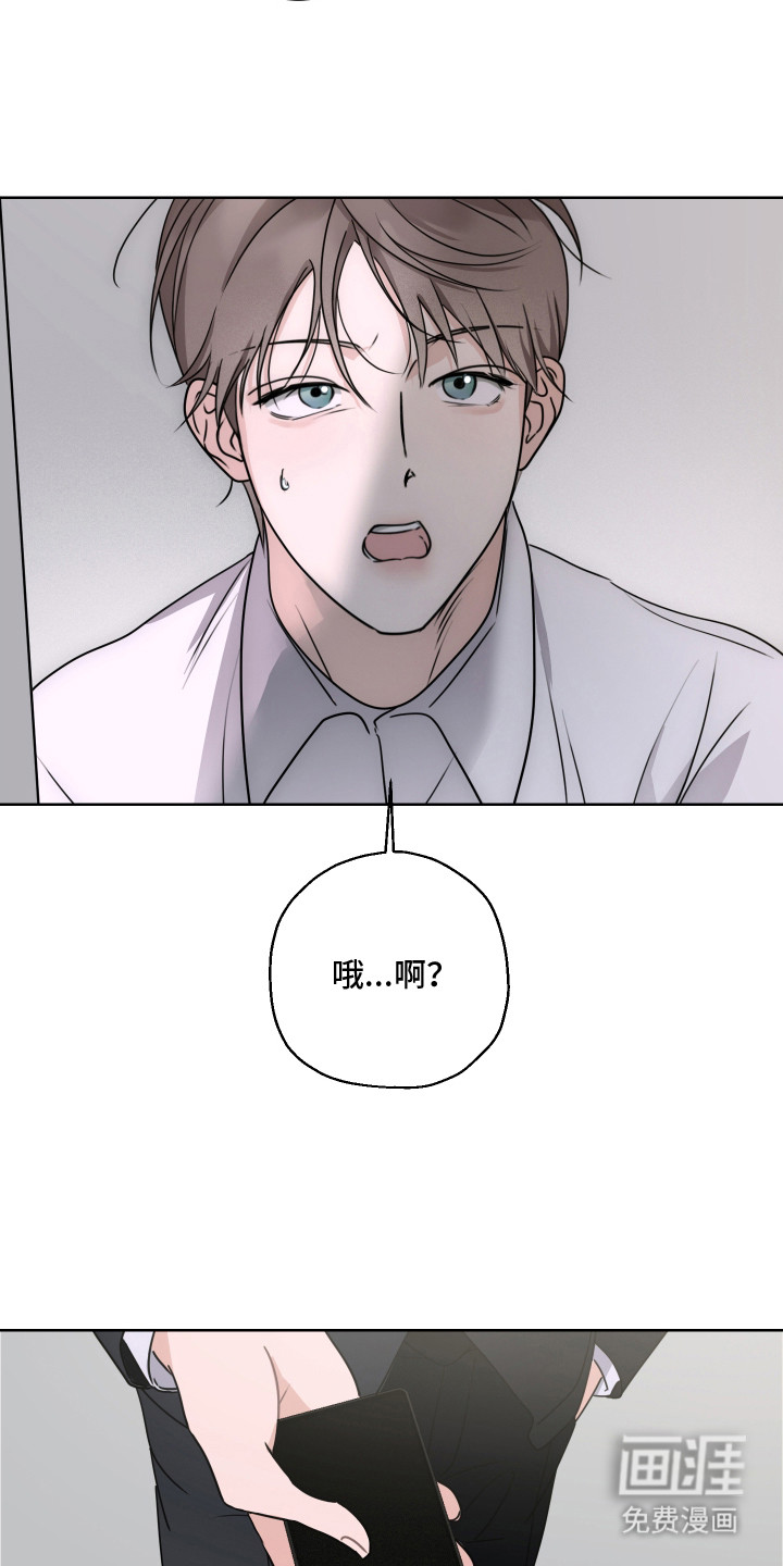 第5话：第5章：抓住机会预览分镜