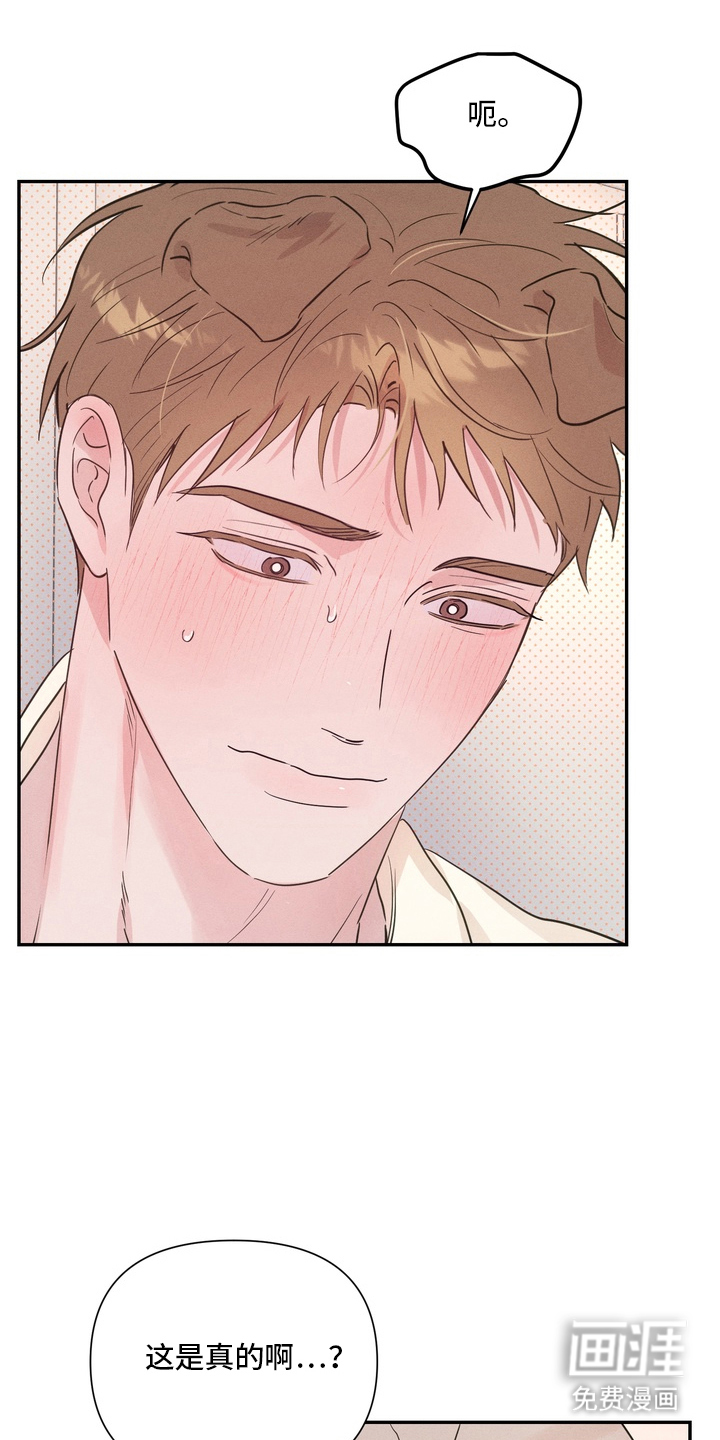 第5话：第5章：吵架预览分镜