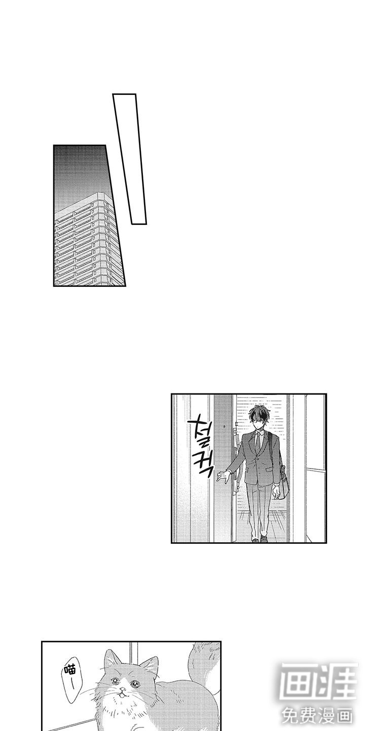 第5话：第5章：界线预览分镜