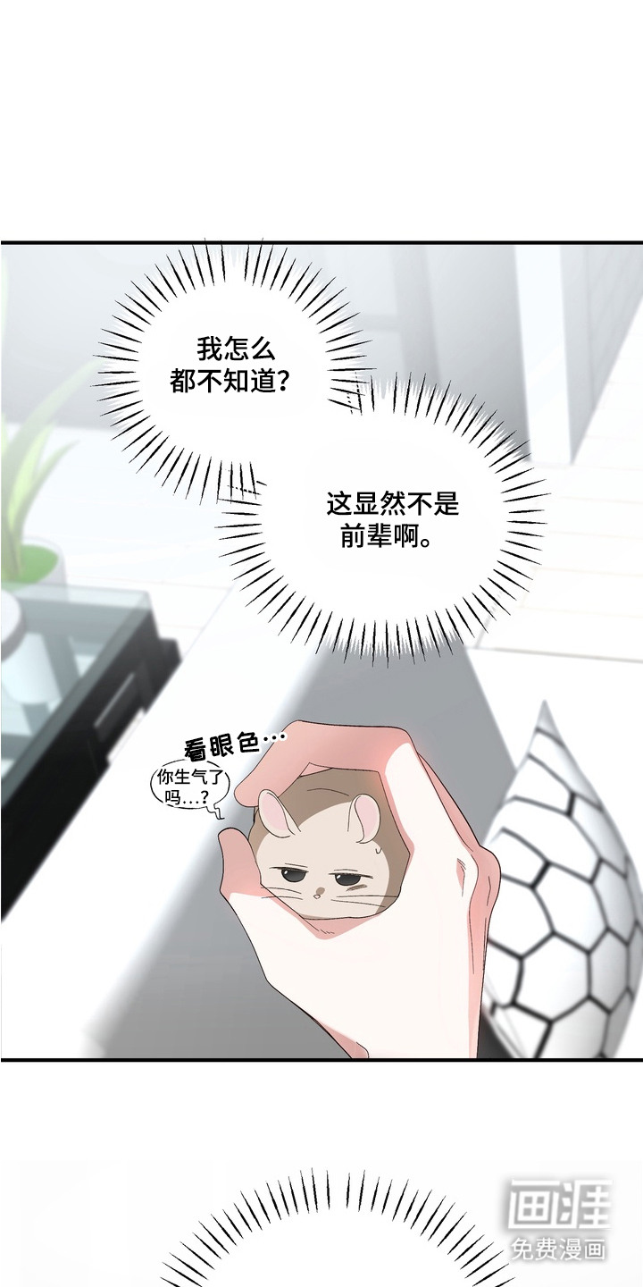 第7话：第7章：伤心预览分镜