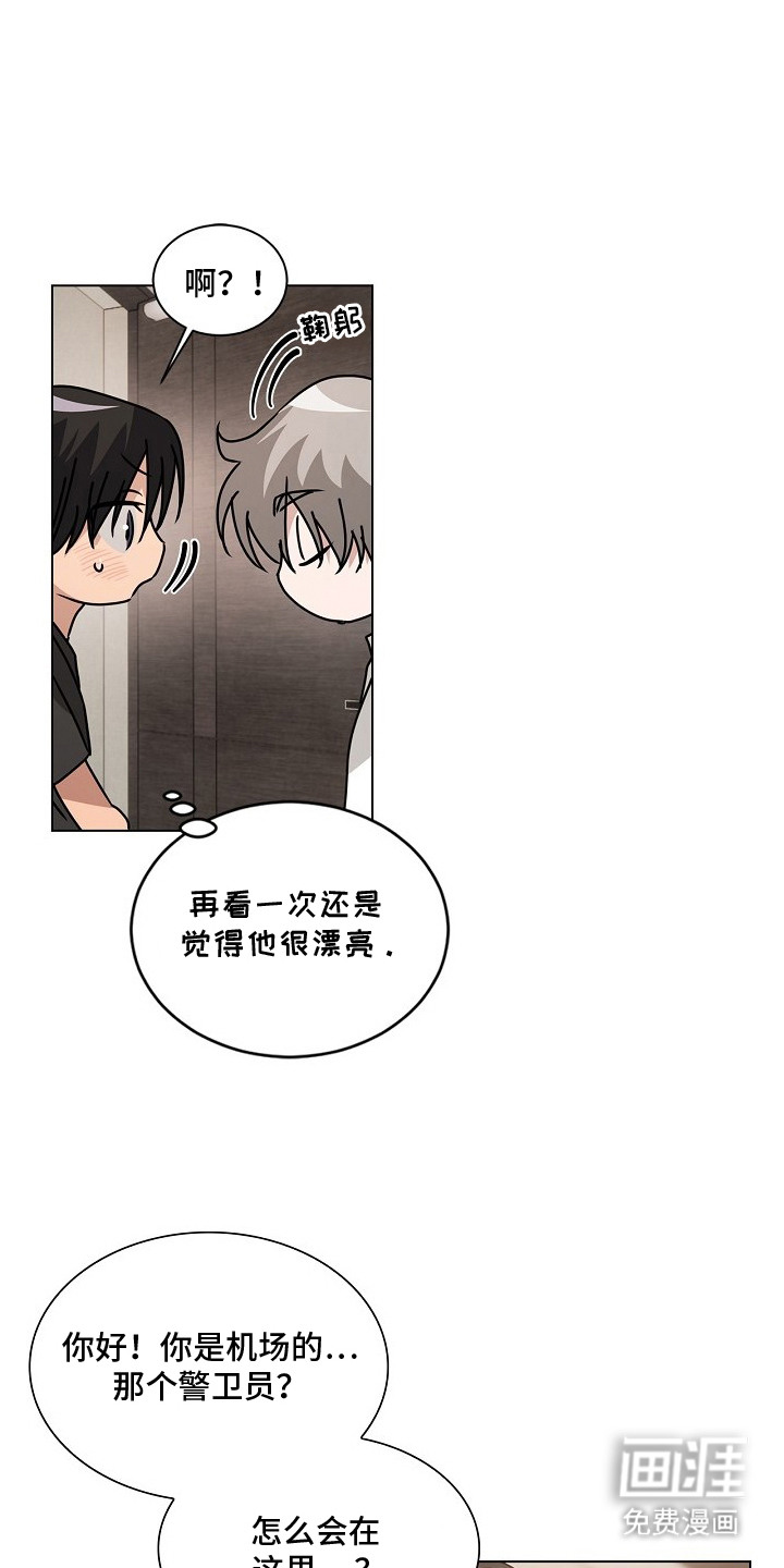 第4话：第4章：漂亮脸蛋预览分镜