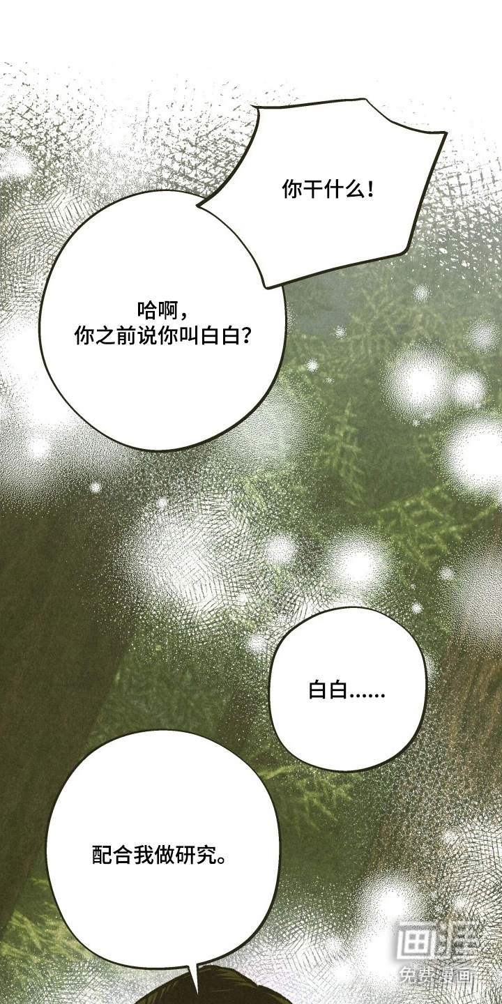 第8话：第8章：乖乖待着预览分镜