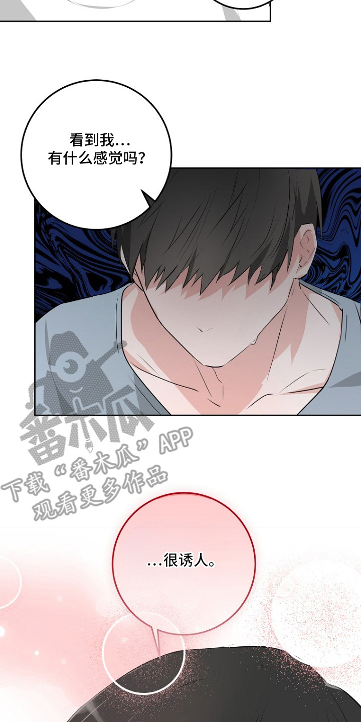 第6话：第6章：诱人预览分镜