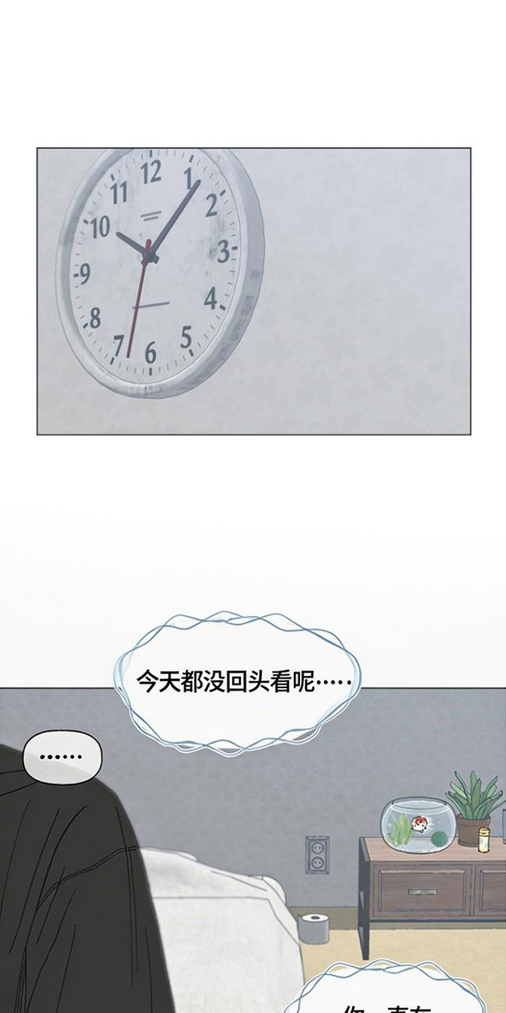 第3话：第3章：没能传达预览分镜