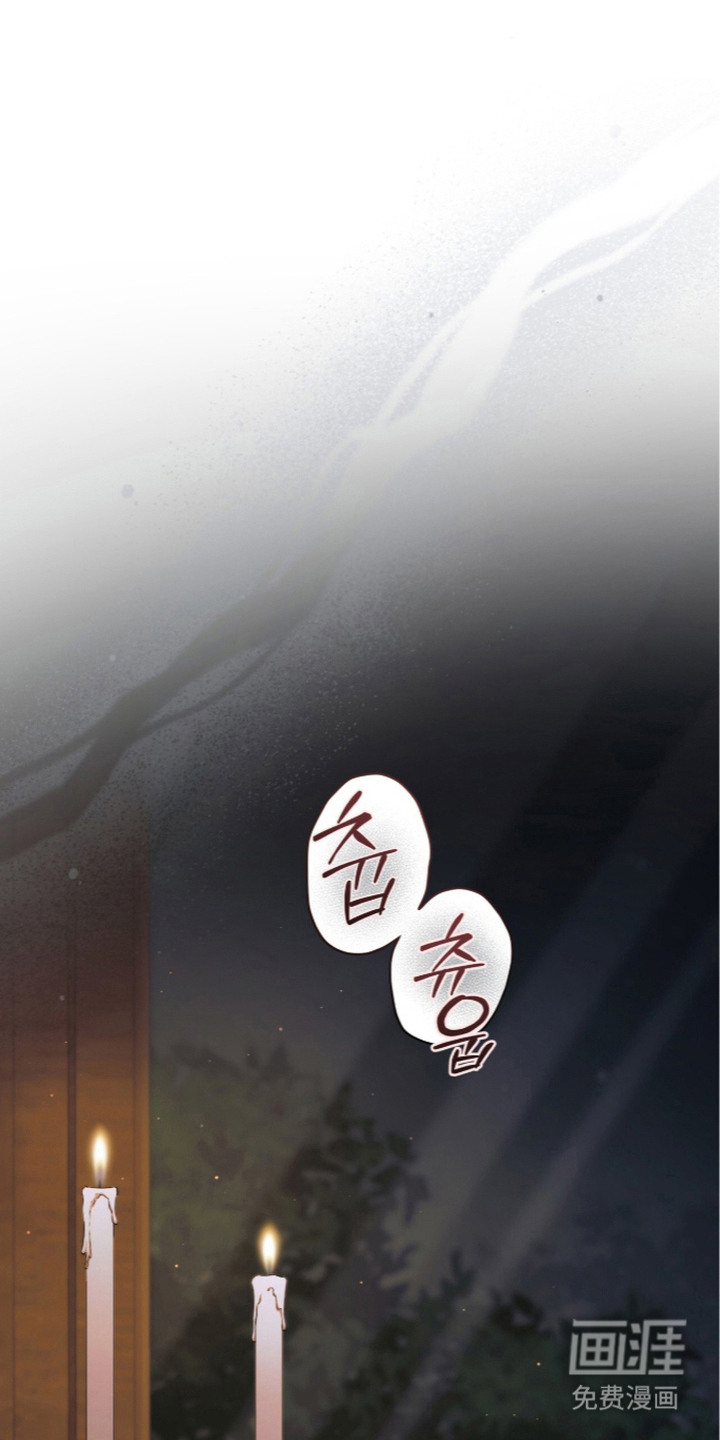 第14话：第14章：强烈刺激预览分镜