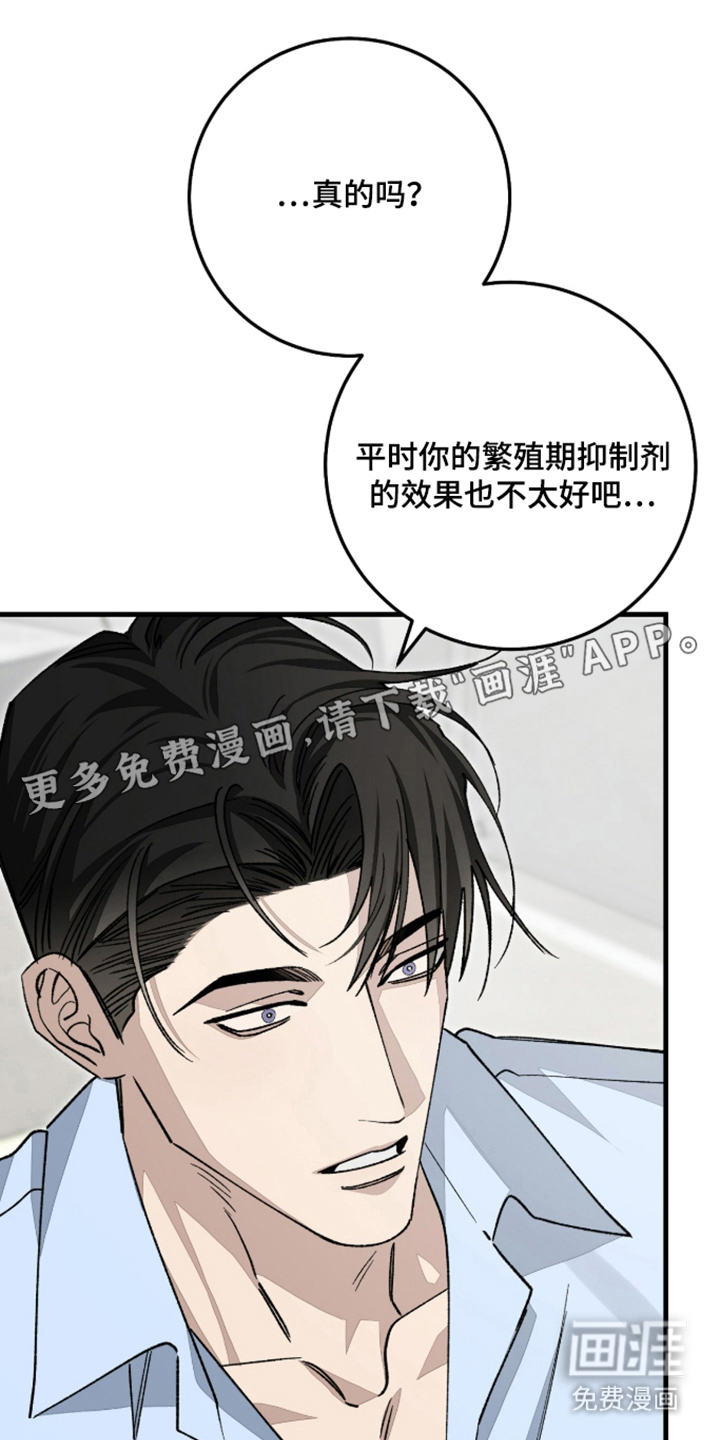 第7话：第7章：开始了预览分镜