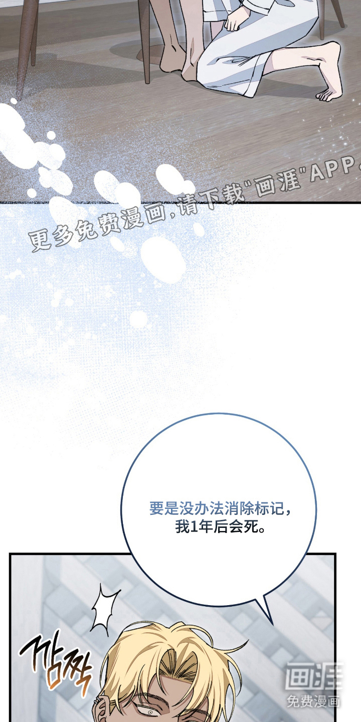第10话：第10章：兴奋预览分镜