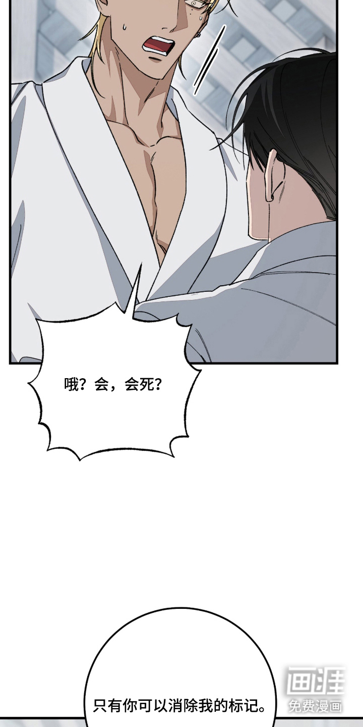 第10话：第10章：兴奋预览分镜
