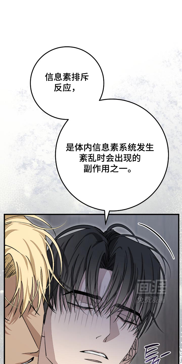 第12话：第12章：这提议倒不算差预览分镜