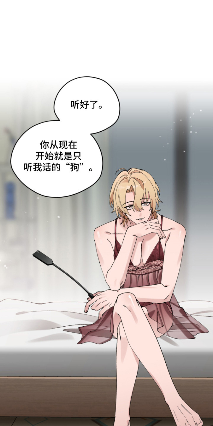 第5话：第5章：命令预览分镜