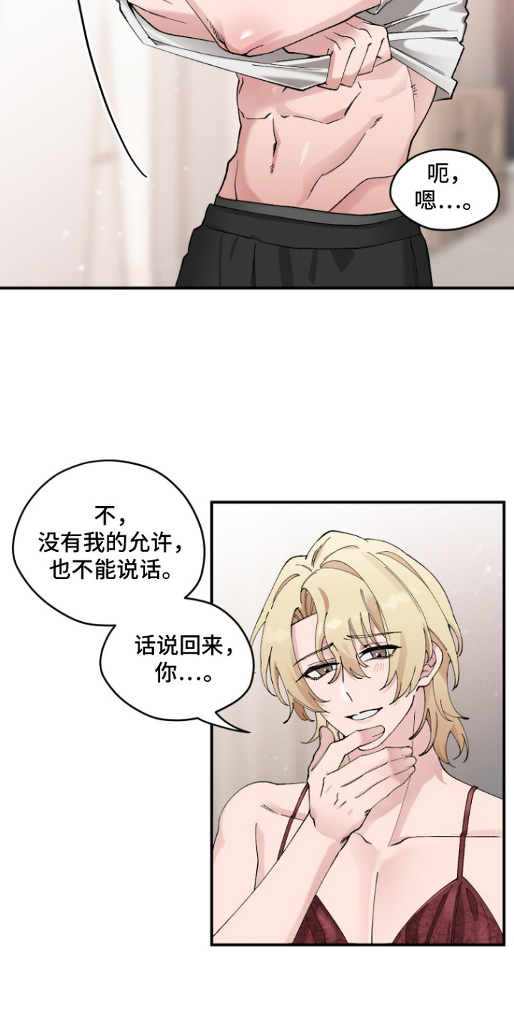 第5话：第5章：命令预览分镜