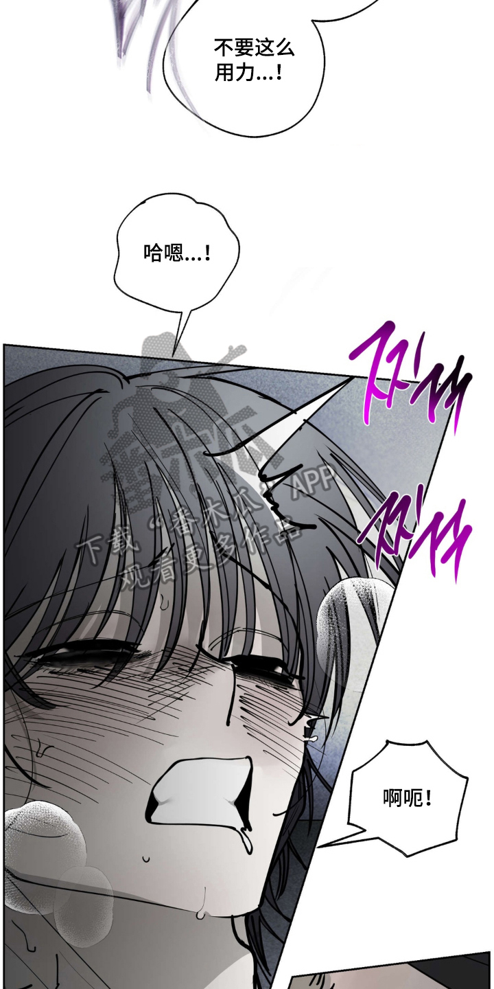 第9话：第9章：打扰了预览分镜