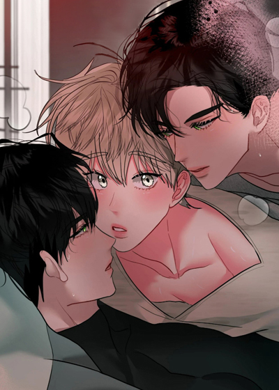 金丝蚁笼漫画封面