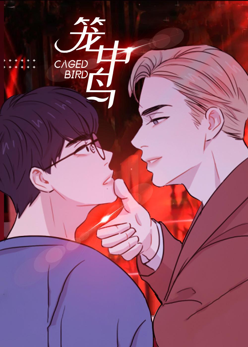 禁锢之爱封面