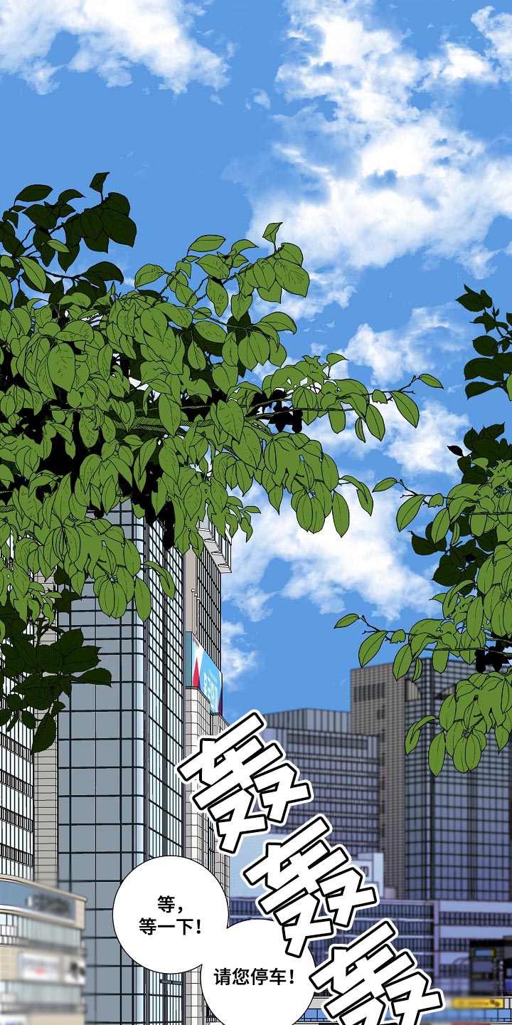 第16话：命运预览分镜