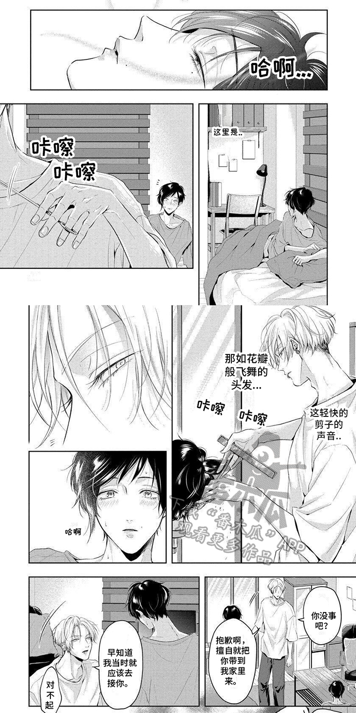 第16话：喜欢预览分镜