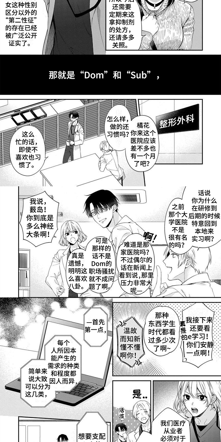 第1话：想法预览分镜