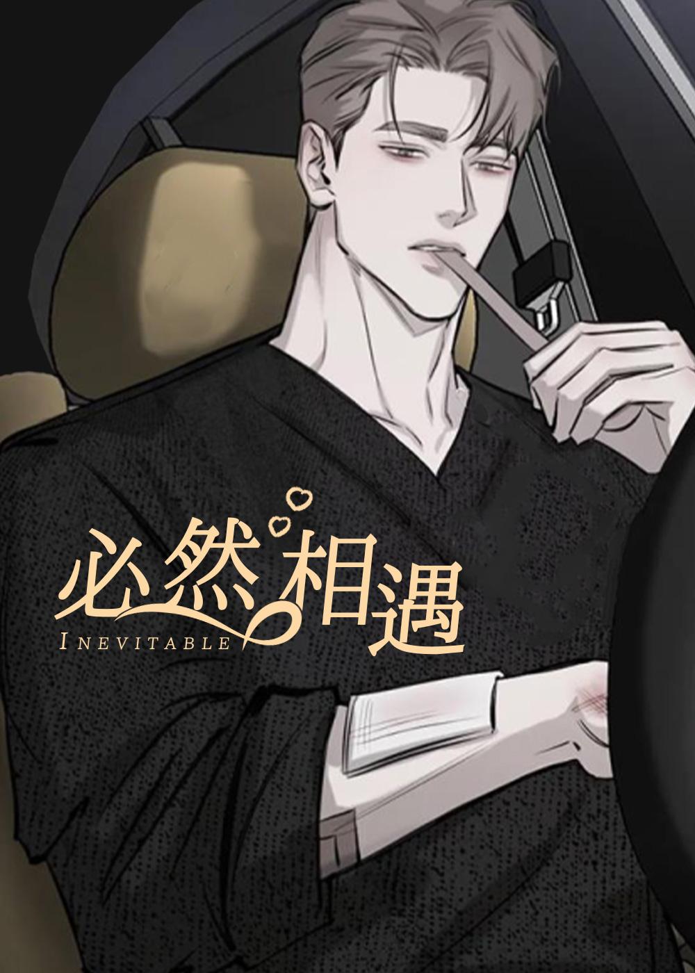 巧合与必然封面