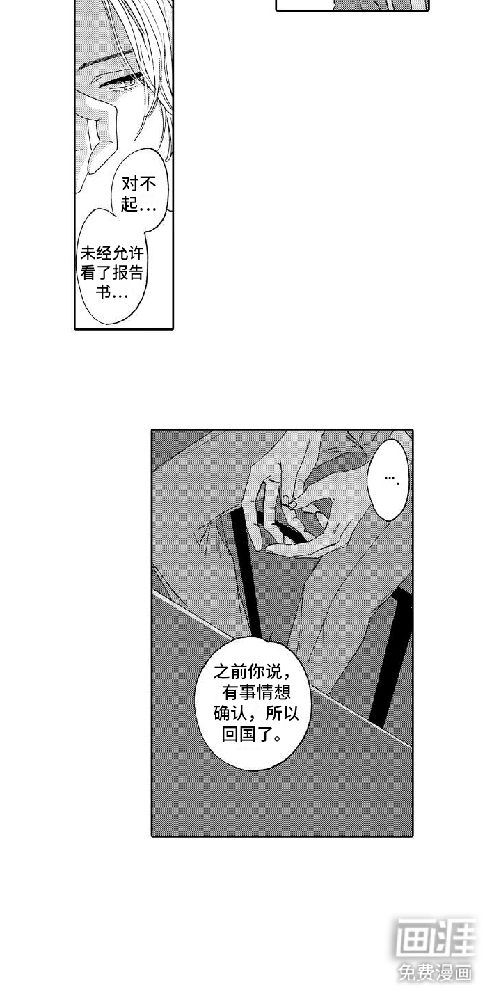第10话：研究预览分镜
