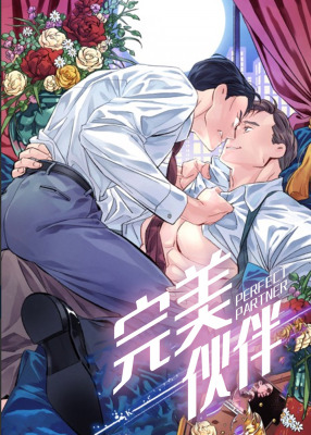 完美伴侣封面