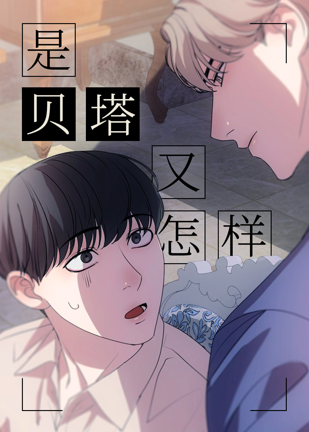 是贝塔又怎样封面