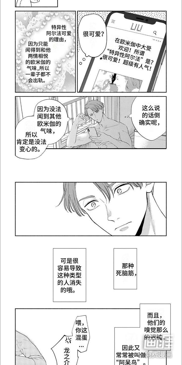 第14话：第14章：阿呆鸟（完结）预览分镜