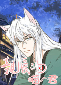我唯一的猫猫封面