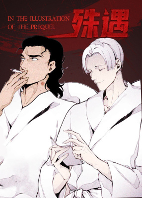 殊遇前传封面