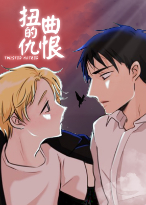 扭曲的仇恨封面