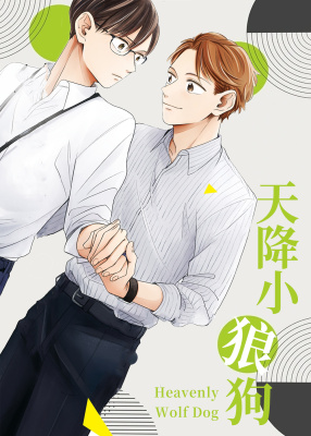 天降小狼狗封面