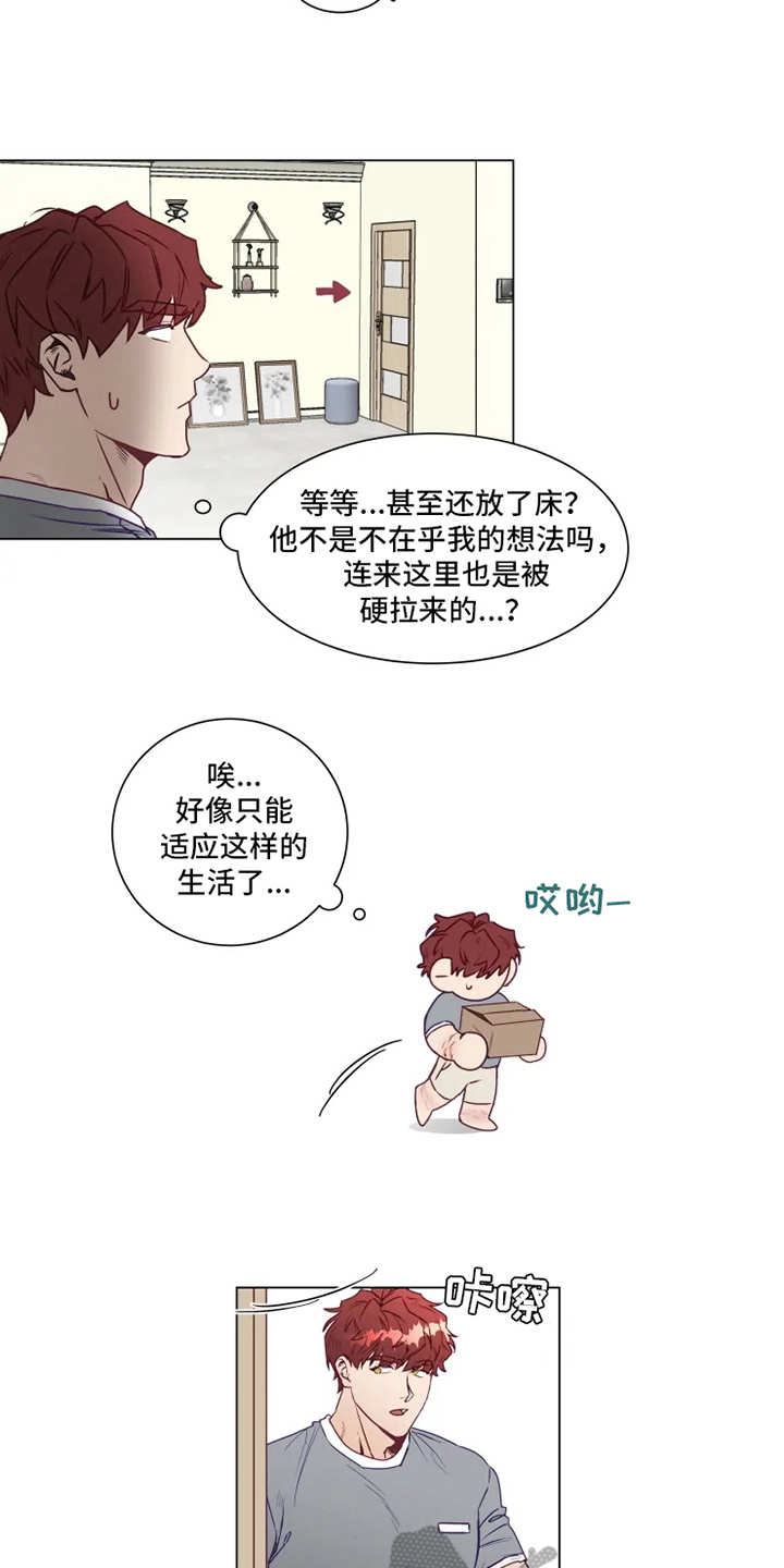 第4话：厨艺预览分镜
