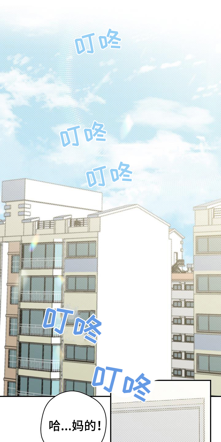 第2话：相处预览分镜